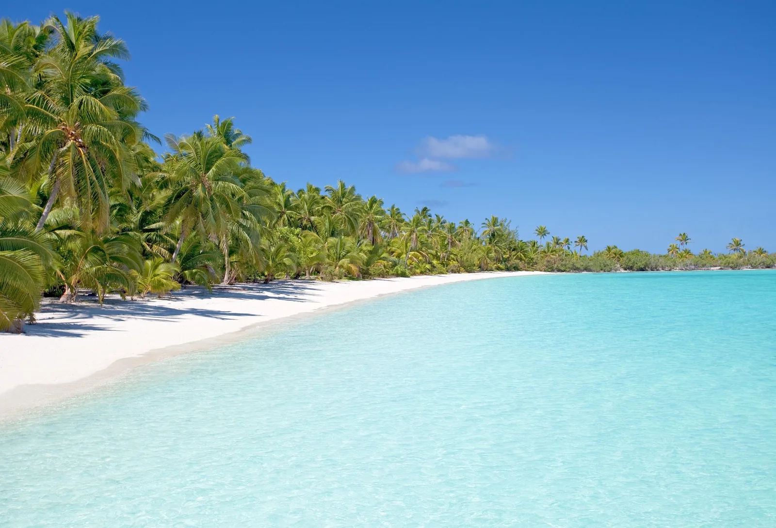 10-Day Zanzibar Holiday + Big Five Wildlife Safari Tanzania safari