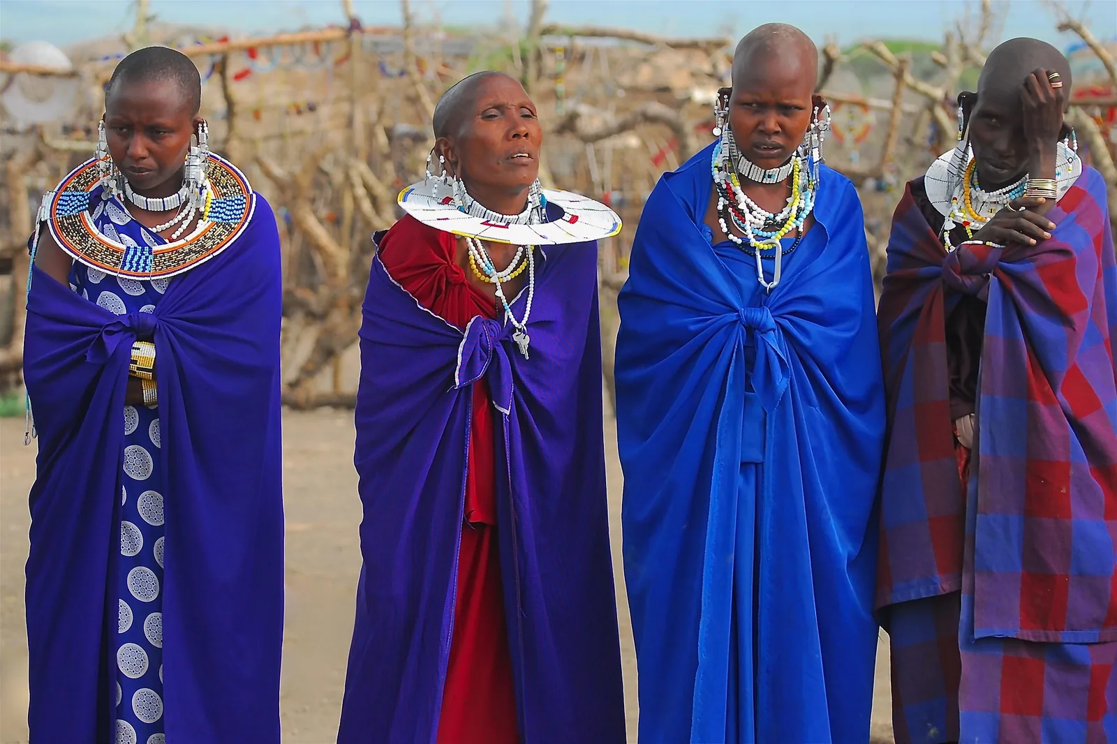 12-Day Spectacular Tanzania Big Cats, Big five animals & Cultural experience Tour Safari
