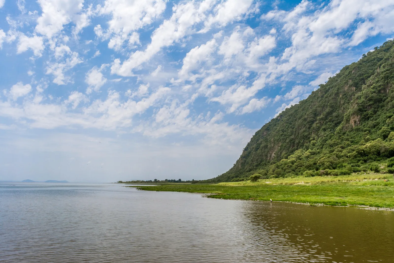 2-Day Lake Manyara & Ngorongoro Hotspot Safari