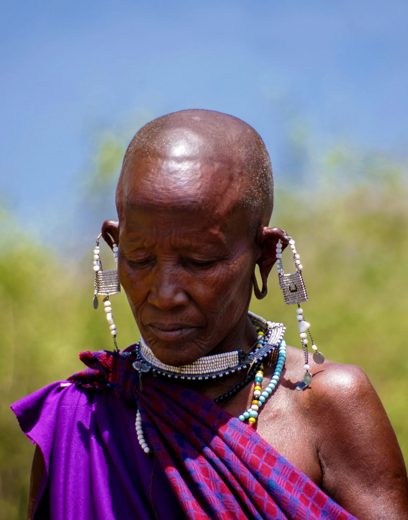6-Day Arusha NP, Tarangire, Ngorongoro, Eyasi & Manyara Budget Tour