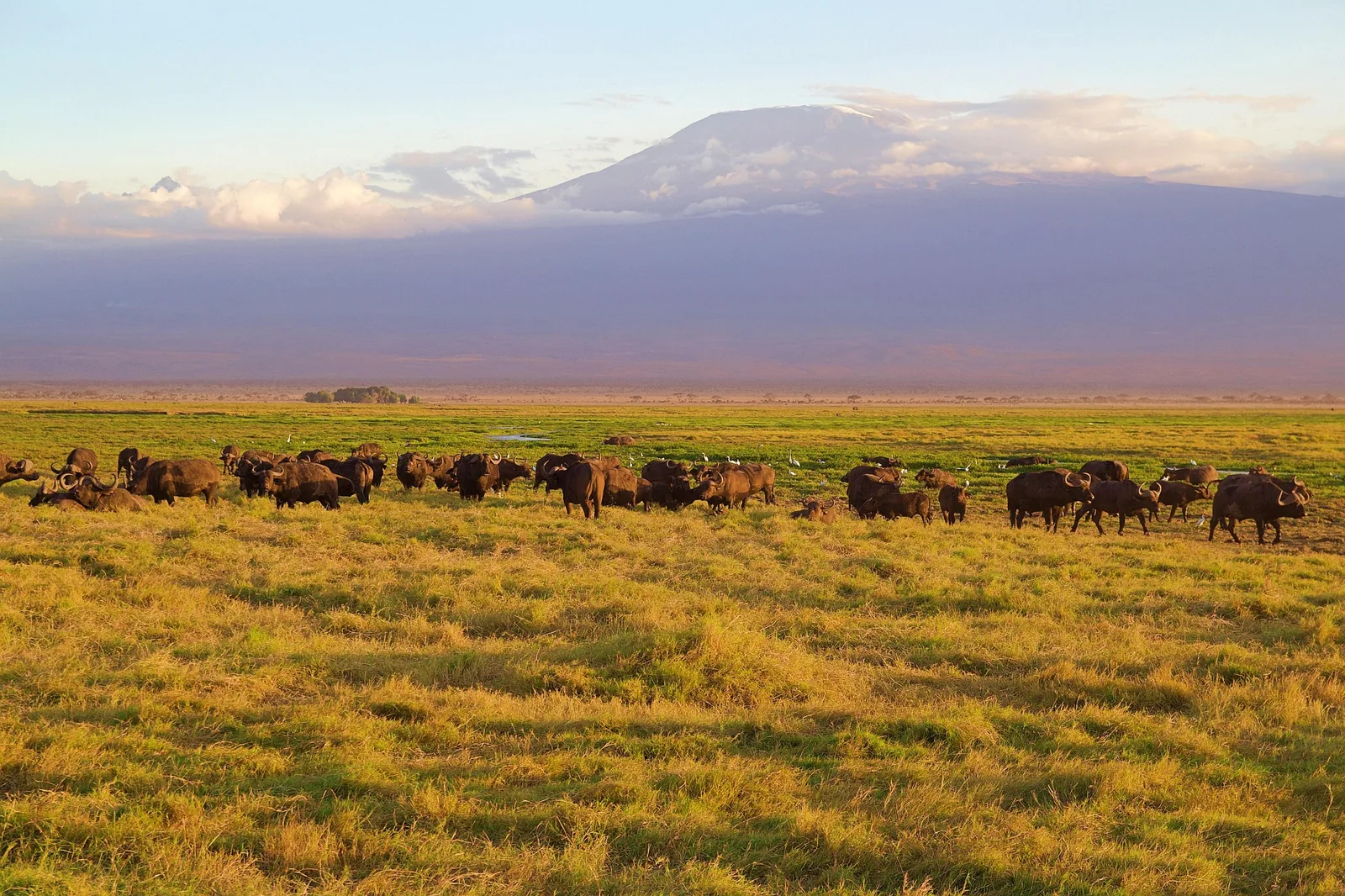 7-Day Kilimanjaro Biking: Kilema Route