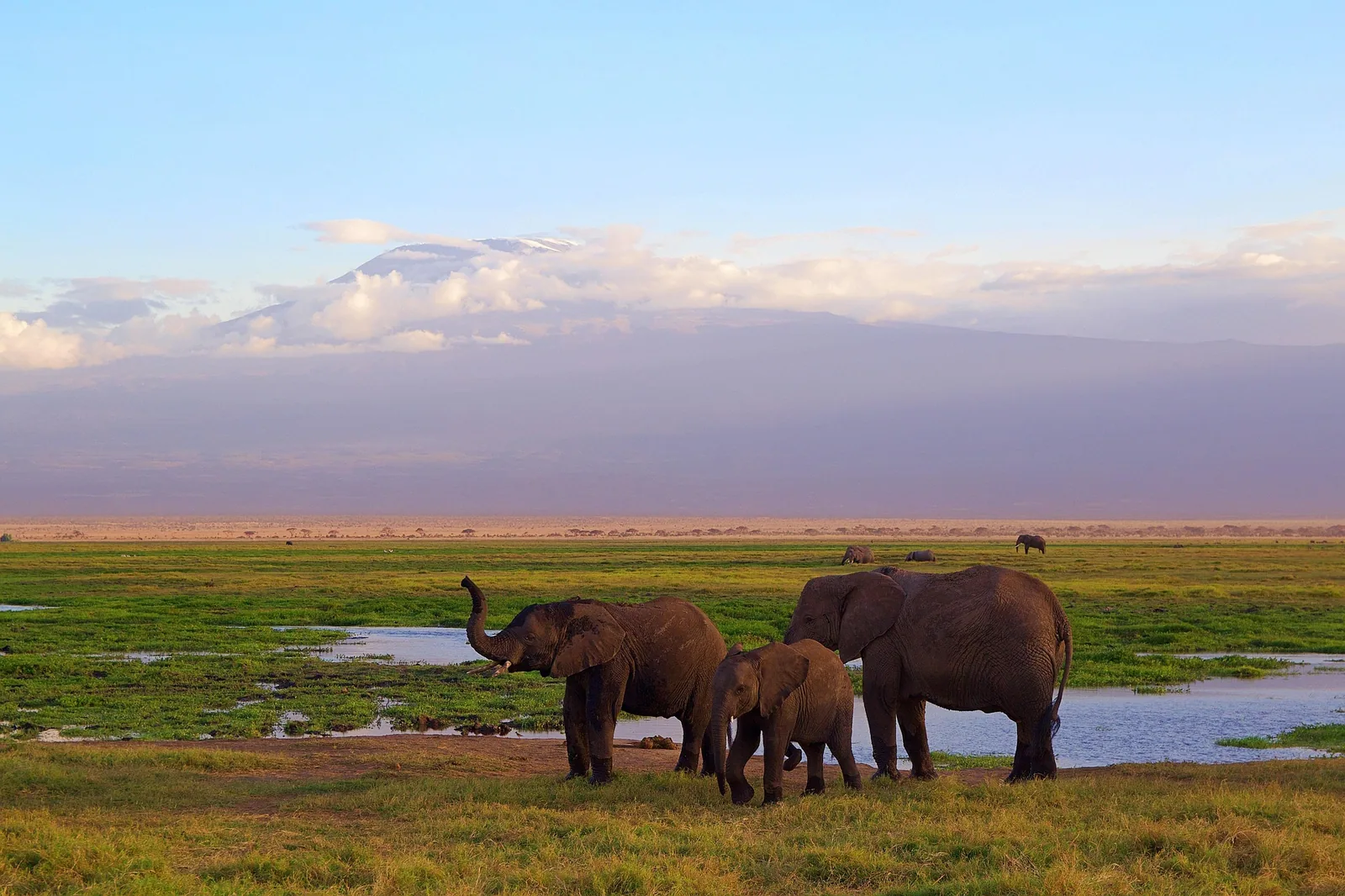 7-Day Kilimanjaro Trek: Marangu Route