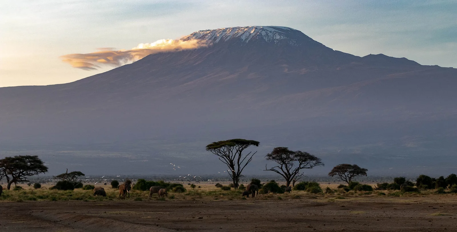 Mount Kilimanjaro rising above the plains
