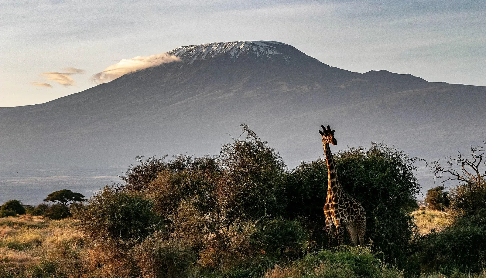 8-Day Kilimanjaro Trek: Marangu Route