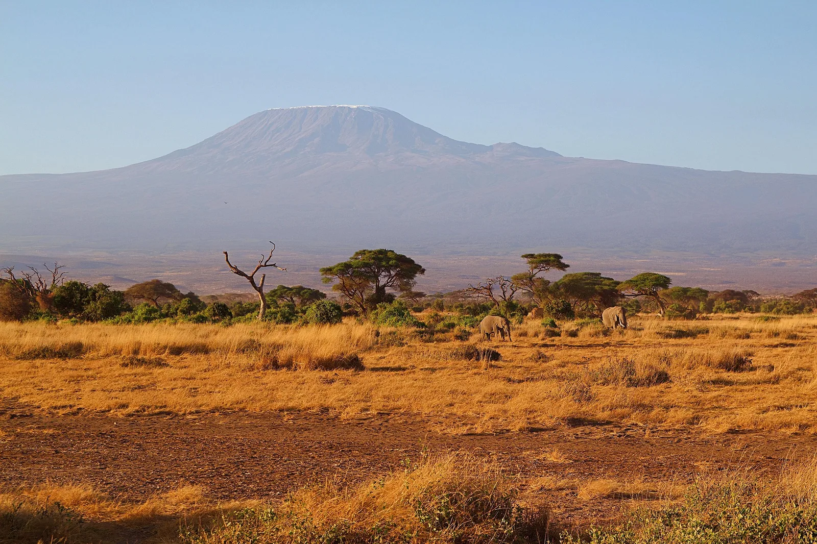 8-Day Kilimanjaro Trek: Umbwe Route