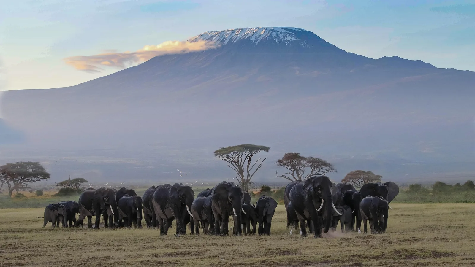 Mount Meru Climb: Momella Route