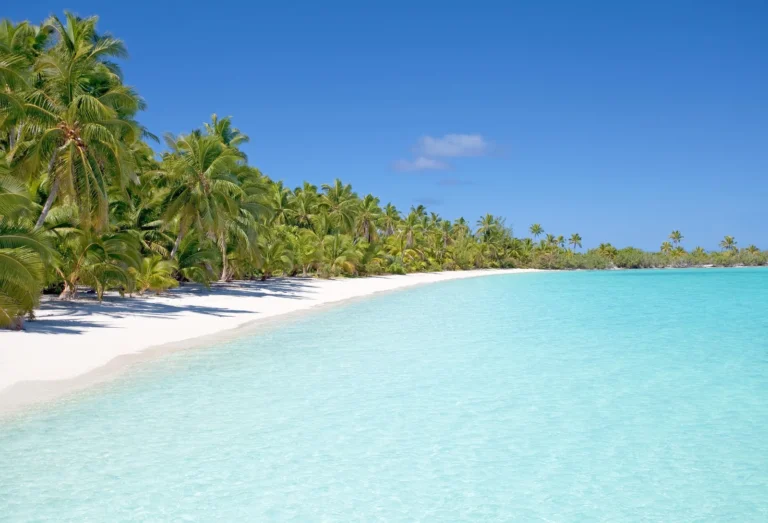 10-Day Zanzibar Holiday + Big Five Wildlife Safari Tanzania safari