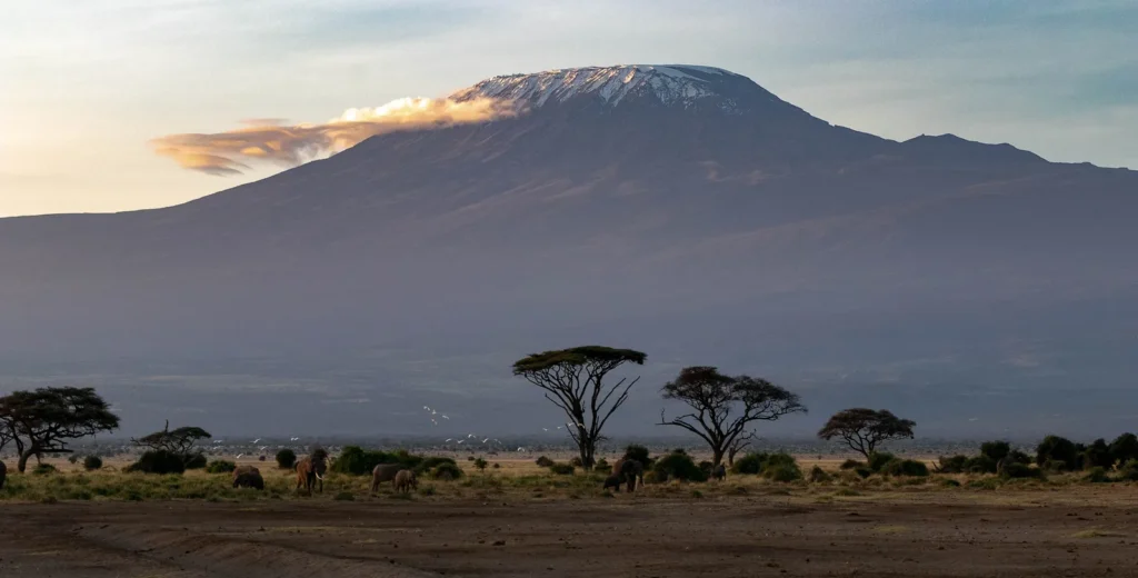 8-Day Kilimanjaro Trek: Machame Route