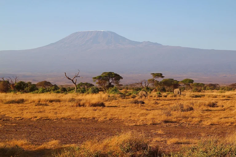 8-Day Kilimanjaro Trek: Umbwe Route Tanzania safari